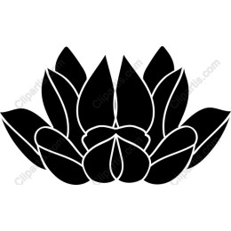 Elegant Black Lotus