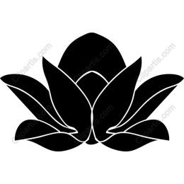 Lotus Flower