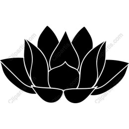 Lotus Flower