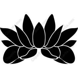 Elegant Lotus Flower