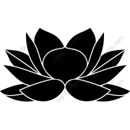 Black Lotus