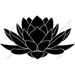 Elegant Black Lotus Flower