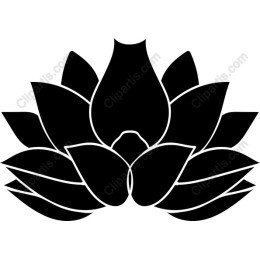 Lotus Flower