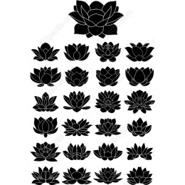 Lotus Flower Bundle - 20 Unique