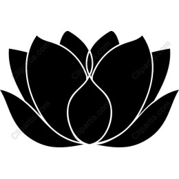 Black Lotus