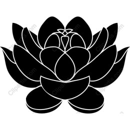 Elegant Black Lotus Flower