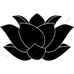 Black Lotus Flower