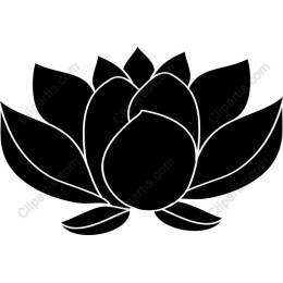 Lotus Flower