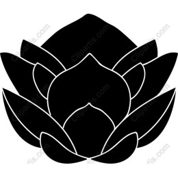 Elegant Black Lotus Flower