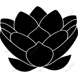 Black Lotus