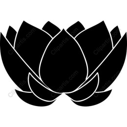 Lotus Flower
