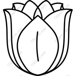 Lotus Flower