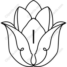 Elegant Lotus Flower