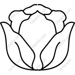 Elegant Flower