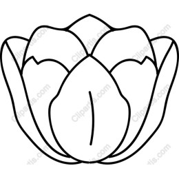 Lotus Flower