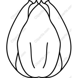Tulip Line Art