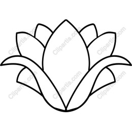 Minimalist Lotus Flower