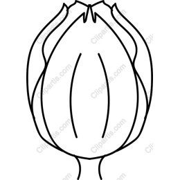 Delicate Flower Bud