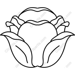 Blooming Flower Minimalist