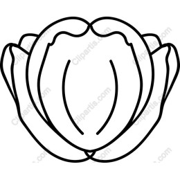 Elegant Tulip Line Art