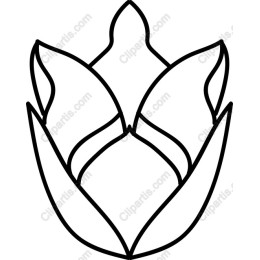 Stylized Floral Abstract