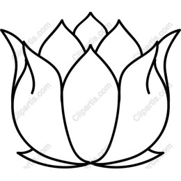 Elegant Minimalist Lotus Flower