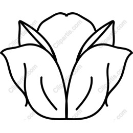 Minimalist Floral