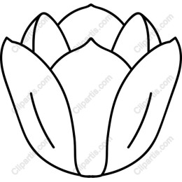 Elegant Flower