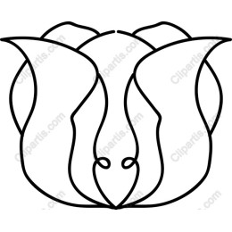 Minimalist Floral