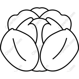 Nature-Inspired Shell