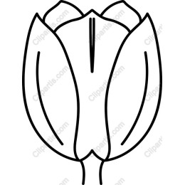 Minimalist Tulip