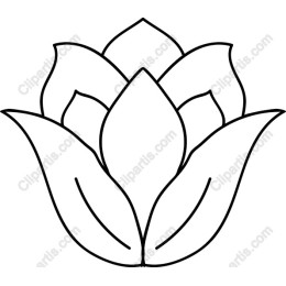 Lotus Flower