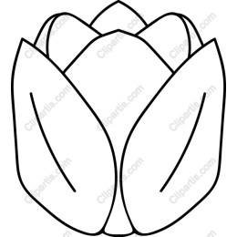 Elegant Flower