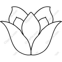 Lotus Flower
