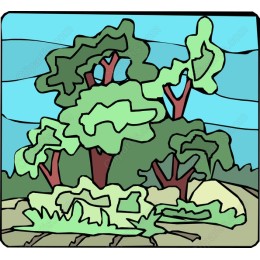 Lush Forest Landscape