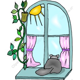 Sunny Window Retreat - Cat