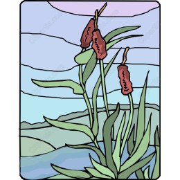 Vibrant Cattails