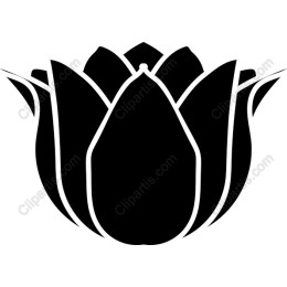 Elegant Black Lotus Flower