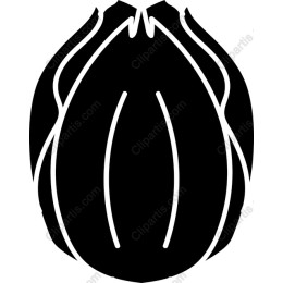 Elegant Tulip
