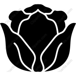 Black Rose