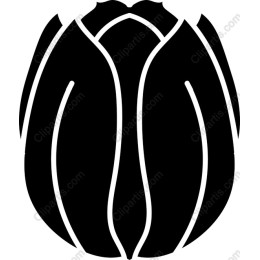 Elegant Black Tulip
