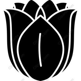 Black Tulip