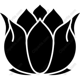 Lotus Flower