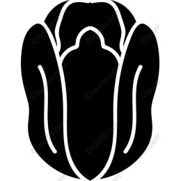 Stylized Elegant Flower