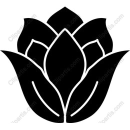 Elegant Flower