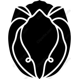 Elegant Insect