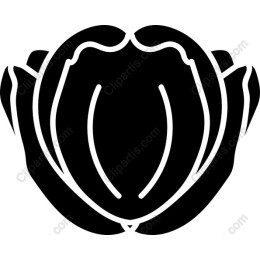 Symmetrical Flower