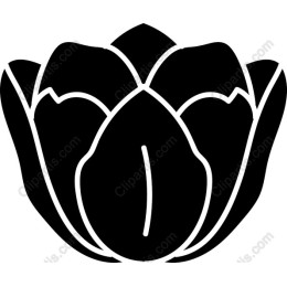 Lotus Flower