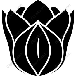 Minimalist Flower