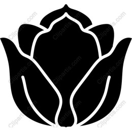 Elegant Lotus Flower